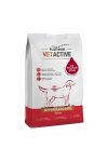 Platinum Vetactive Hypoallergenic 1,5kg